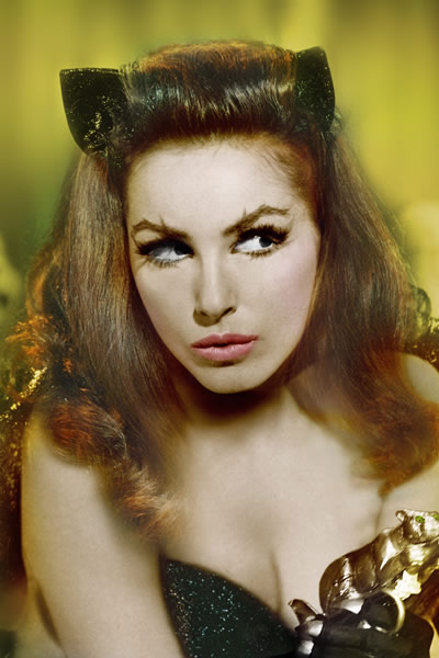 Newmar in her Catwoman days Photo courtesy Julie Newmar via Harlan Boll 