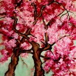 100_Years_of_Blossoms_DC_2012_by_Kate_McConnell_thumb