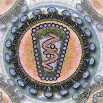 Human_Immunodeficency_Virus_stylized_rendering_thumb_public_domain