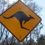 Kangaroo_sign_australia_thumb_c_Roke