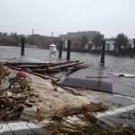 Sandy_on_Fire_Island_insert