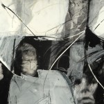 Descendants, Jude Nagel, Gallery B, gay news, Washington Blade, art