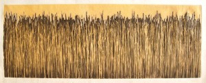 Wide_Grass_by_Mary_D.Ott