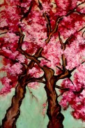 100_Years_of_Blossoms_DC_2012_by_Kate_McConnell_insert