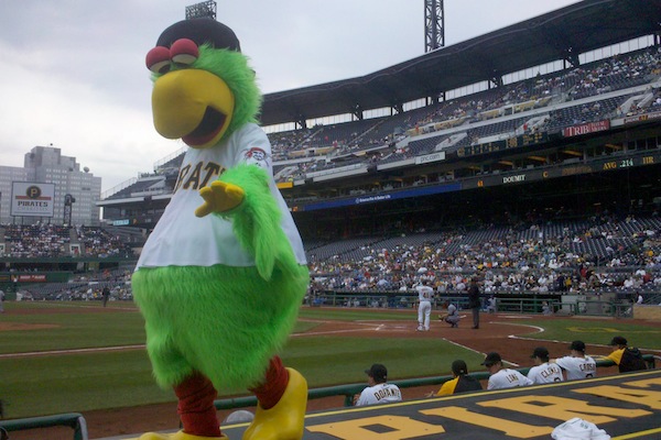 Pittsburgh Pirates Parrot, gay news, Washington Blade