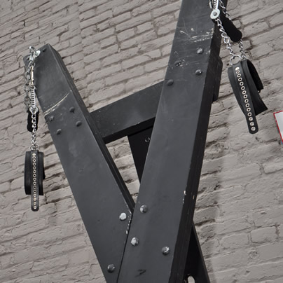 Saint Andrew's Cross, BDSM, gay news, Washington Blade