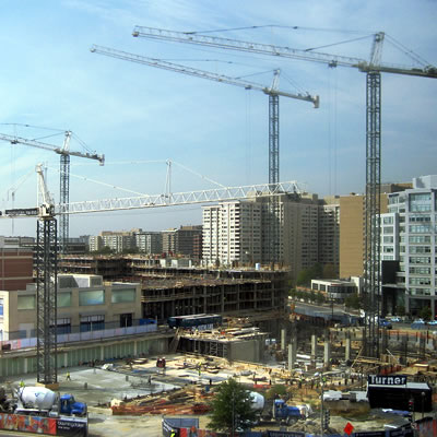 cranes, District of Columbia, gay news, Washington Blade