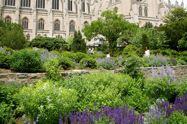 home and garden, gay news, National Cathedral, Washington Blade