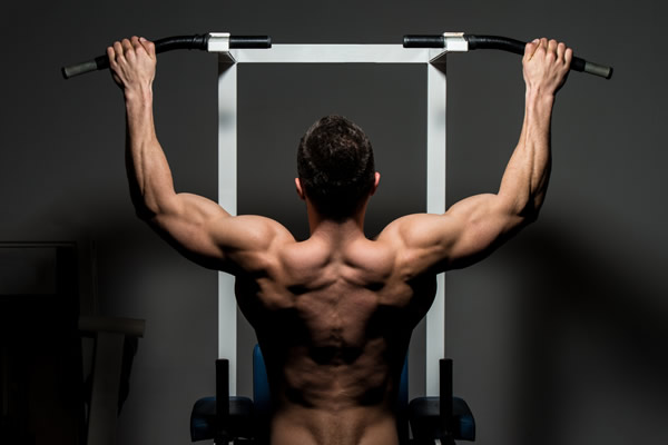 muscles_in_back_insert_by_Bigstock.jpg (600Ã400)