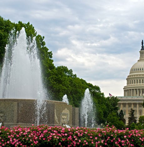 gardens, gay news, Washington Blade