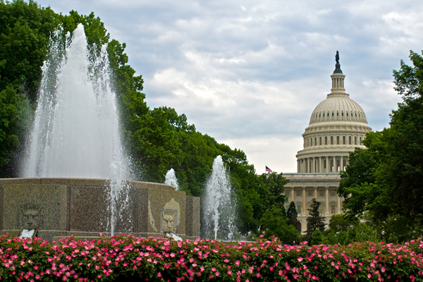 gardens, gay news, Washington Blade