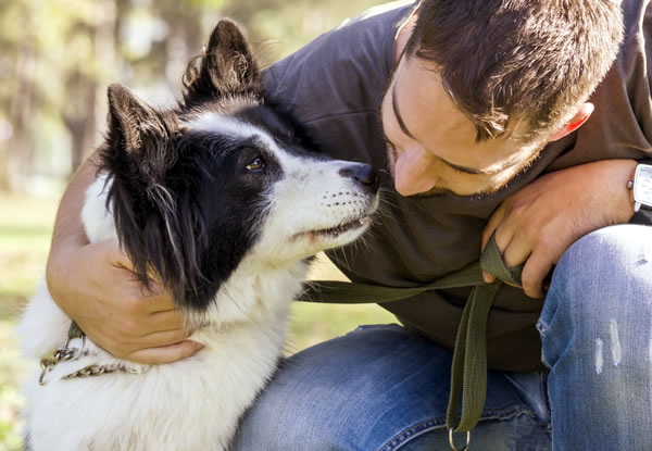 pet care, gay news, Washington Blade