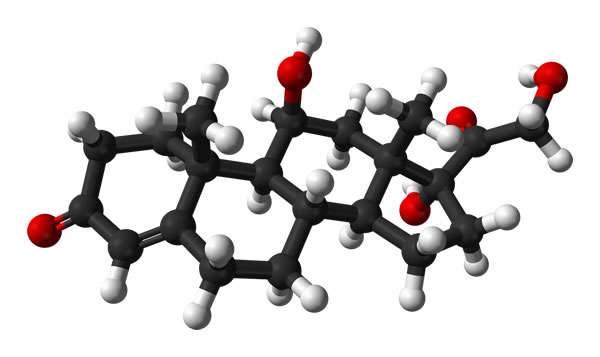 cortisol, gay news, Washington Blade