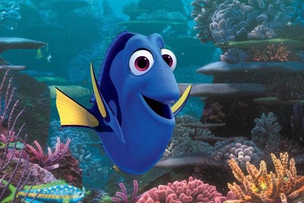 Dory gets her on movie in this sequel to 'Finding Nemo.' (Photo courtesy Disney-Pixar)