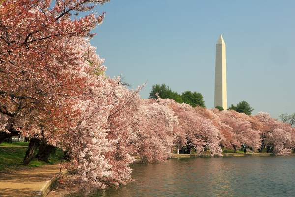 Spring Market, gay news, Washington Blade