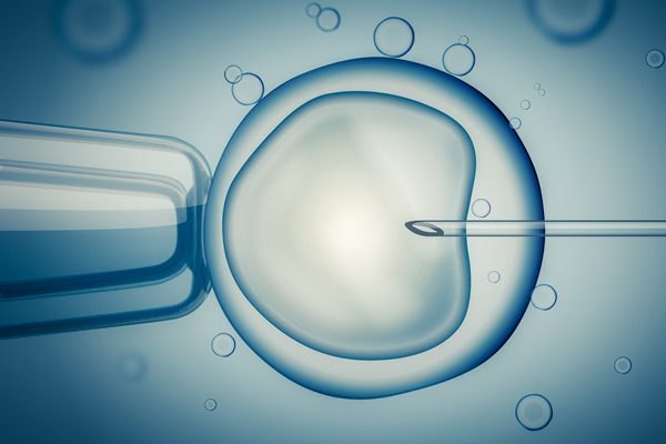 In vitro fertilization, fertility treatments, gay news, Washington Blade
