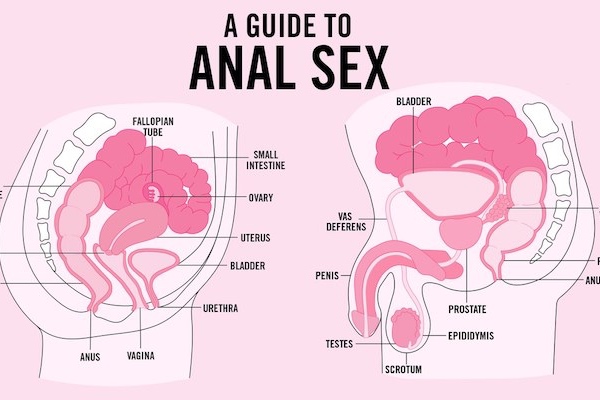 Gay Sex Guide grosse bite femme Tumblr
