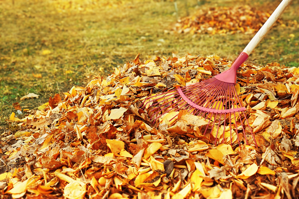 raking leaves, gay news, Washington Blade