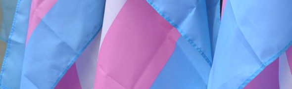 About Trans, Trans Town Hall, Trans Visibility, Gender-Affirming Services, gay news, Washington Blade