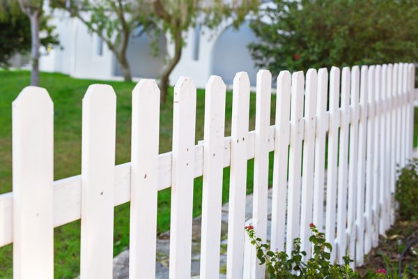 fenced yard, gay news, Washington Blade