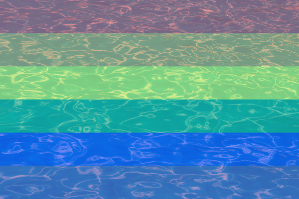 LGBTQ Senior Splash, gay news, Washington Blade
