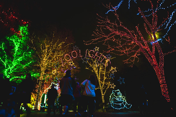 ZooLights, gay news, Washington Blade