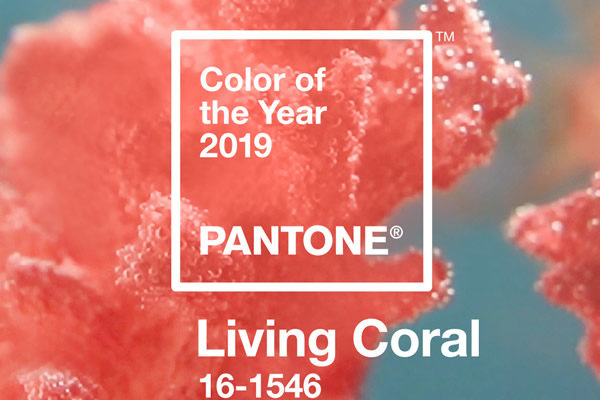 Living Coral, gay news, Washington Blade