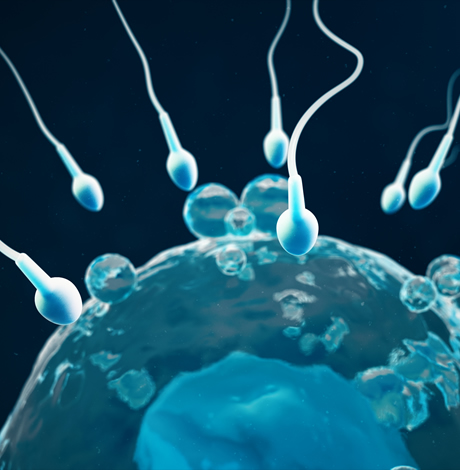 trans fertility, gay news, Washington Blade, fertile