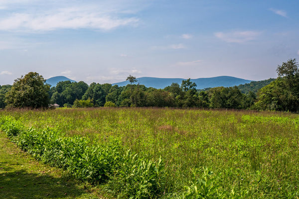 country living, gay news, Washington Blade