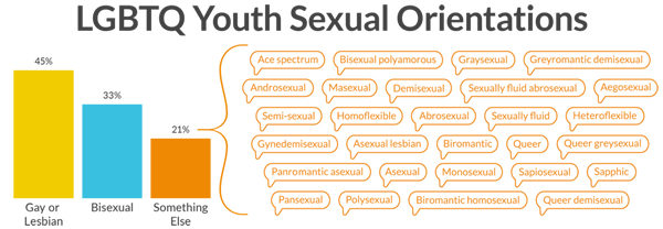 identity lesbian gay youth Bisexual