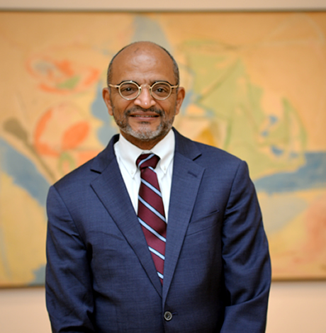 National Gallery of Arts new dean talks diversity, COVID amateur 460x470 hq pic National Gallery of Arts new dean talks diversity, COVID picture