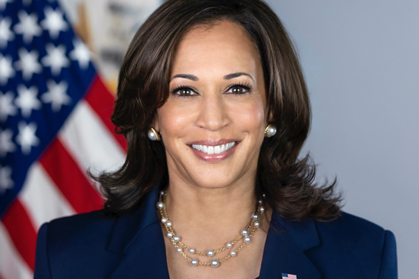 The meaning of Kamala Harris: the woman who will break new ground as  vice-president, Kamala Harris