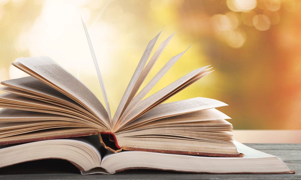 Literature is my companion